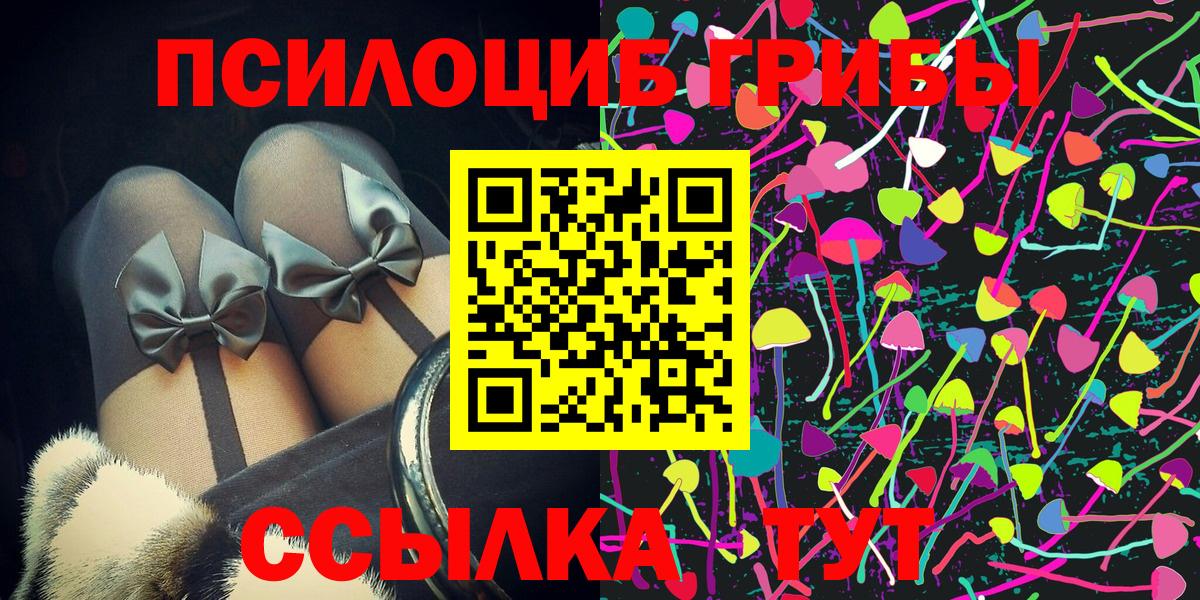 Галлюциногенные грибы MAGIC MUSHROOMS  купить наркоту  Дивногорск  Вход с VPN 